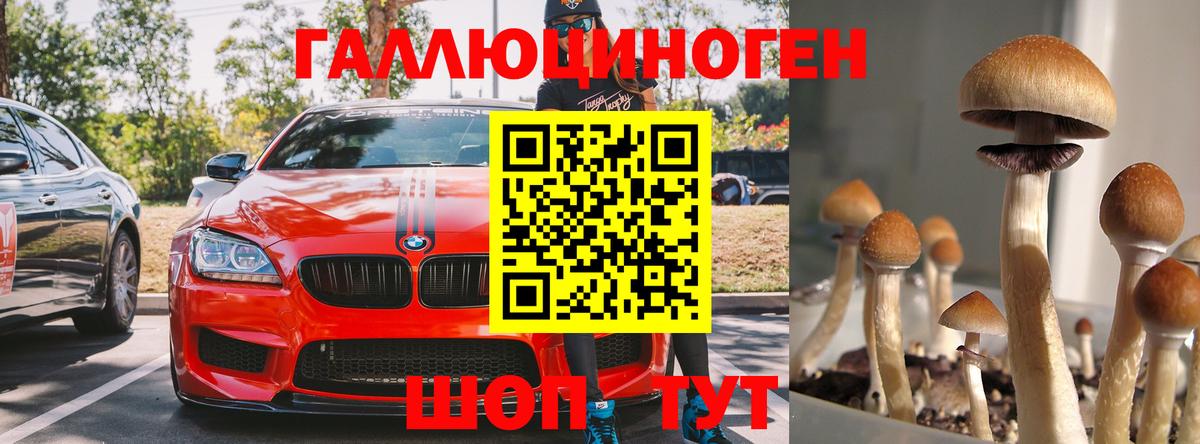 Галлюциногенные грибы Малоярославец